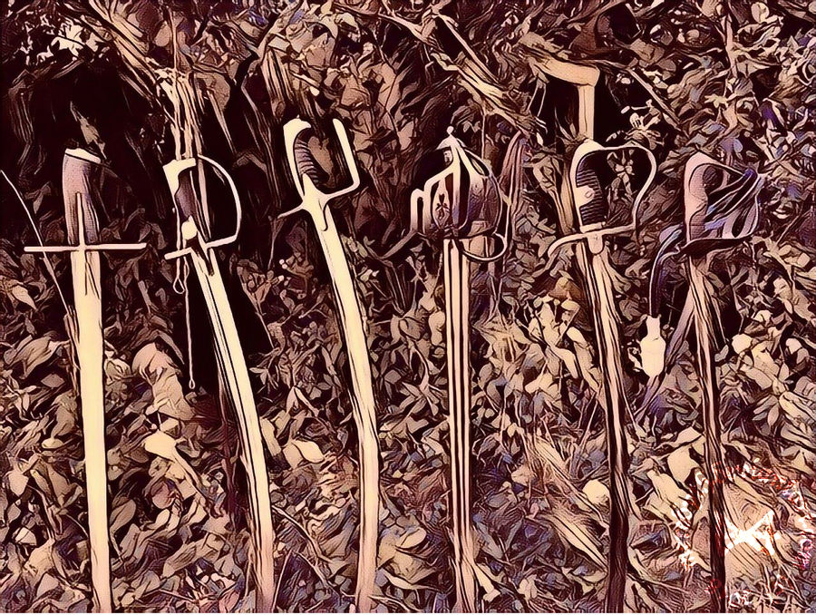 Sabres of Autumn by Meredyth