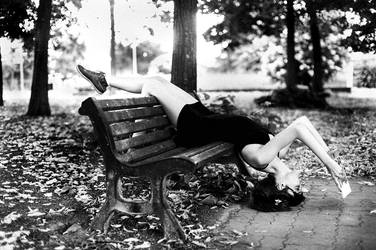 Woods and Books by michaelangelo82