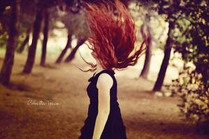 the wood is on fire by thebestfeeling