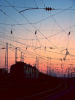 Voice of the summer by runned-in-the-clouds