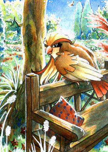 Pidgeot by Diaris