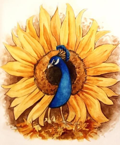Sunbird by Diaris