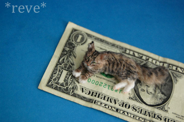 Miniature Polydactyl Maine Coon Cat by ReveMiniatures