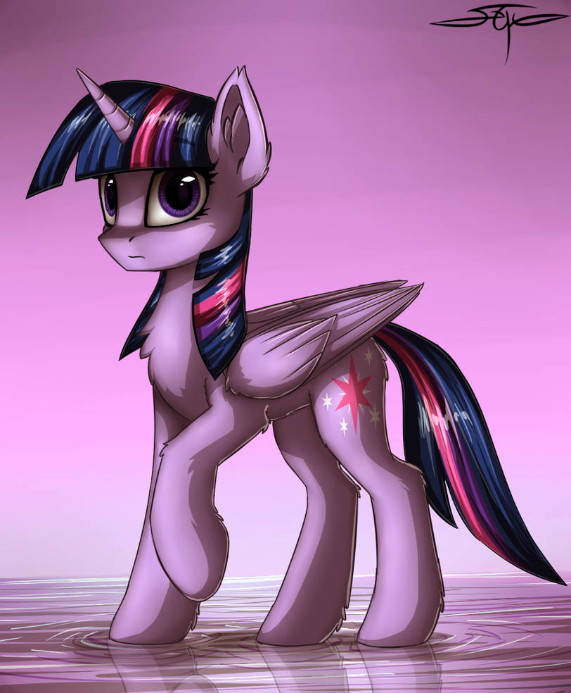 twilight_sparkle_by_setharu_dbba551-pre.