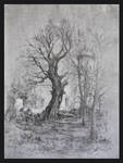 Old Tree by Juzz09