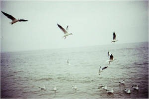 Liberte toujour by dozhdlivaya