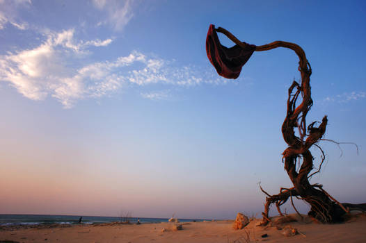 Sweet Smell of a Great Sorrow by ahermin