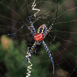 Corporation Exploitation by ahermin