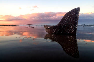 The Whore and the Whale by ahermin