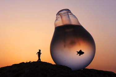 The Chase I by ahermin