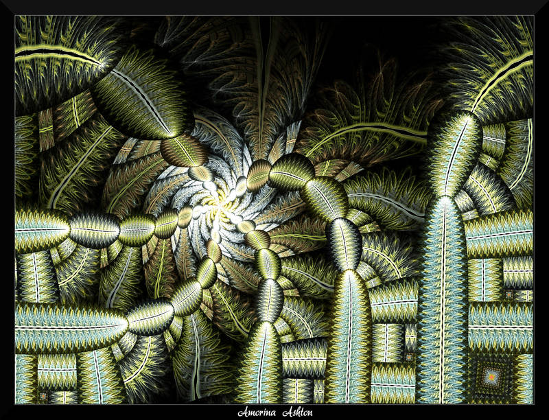 78O4-The Cactus Forest by AmorinaAshton