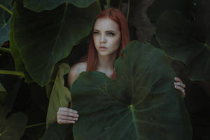 beauty behind by pholwises