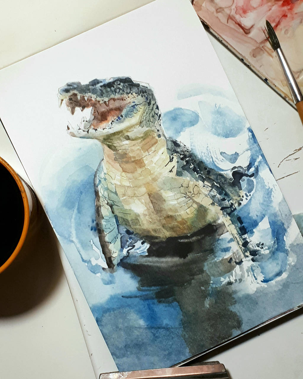 crocodile study by claratessier