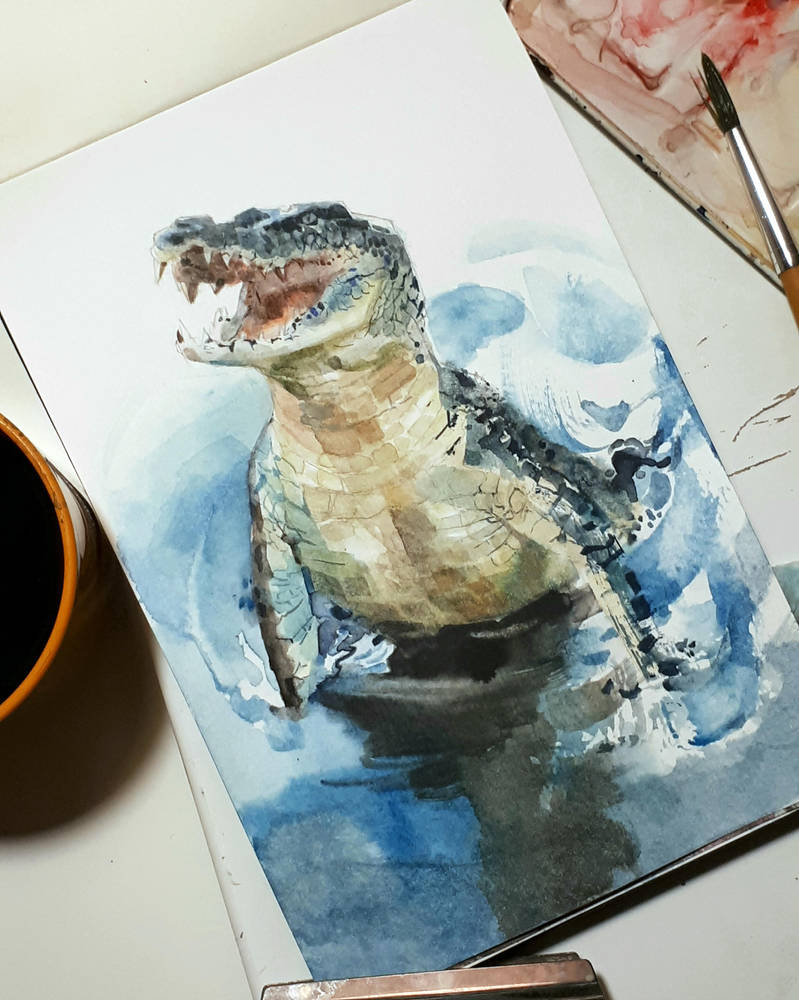 crocodile study by claratessier