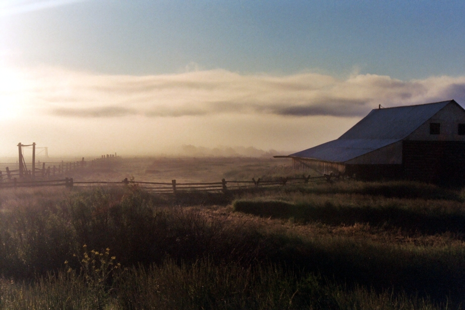 Misty pasture by Misfit0481