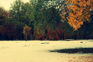 Autumn colors. by MultiTerisek