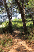 bush. by MultiTerisek