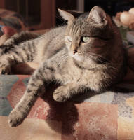 On a sofa by MultiTerisek