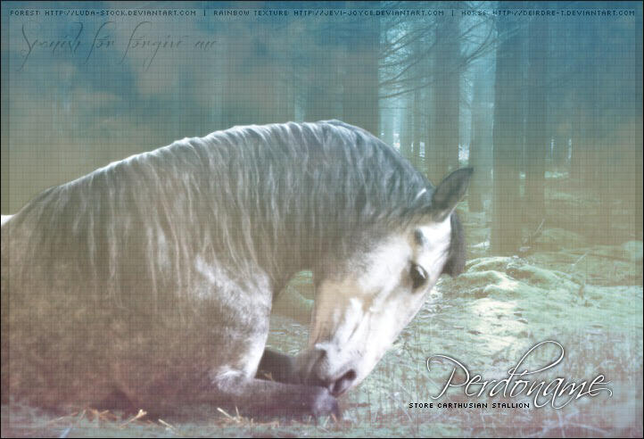 Perdoname by Impressive-Instant