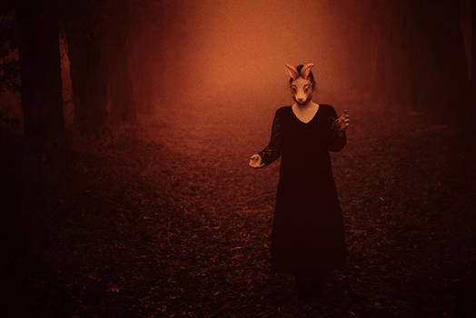 She brought the Night by artofinvi