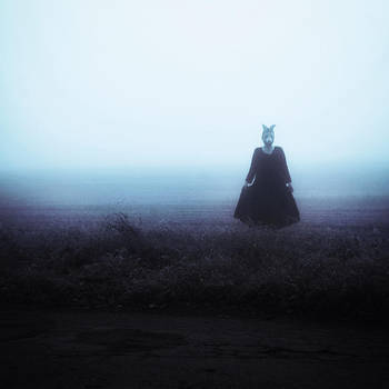 She became this fog forever by artofinvi