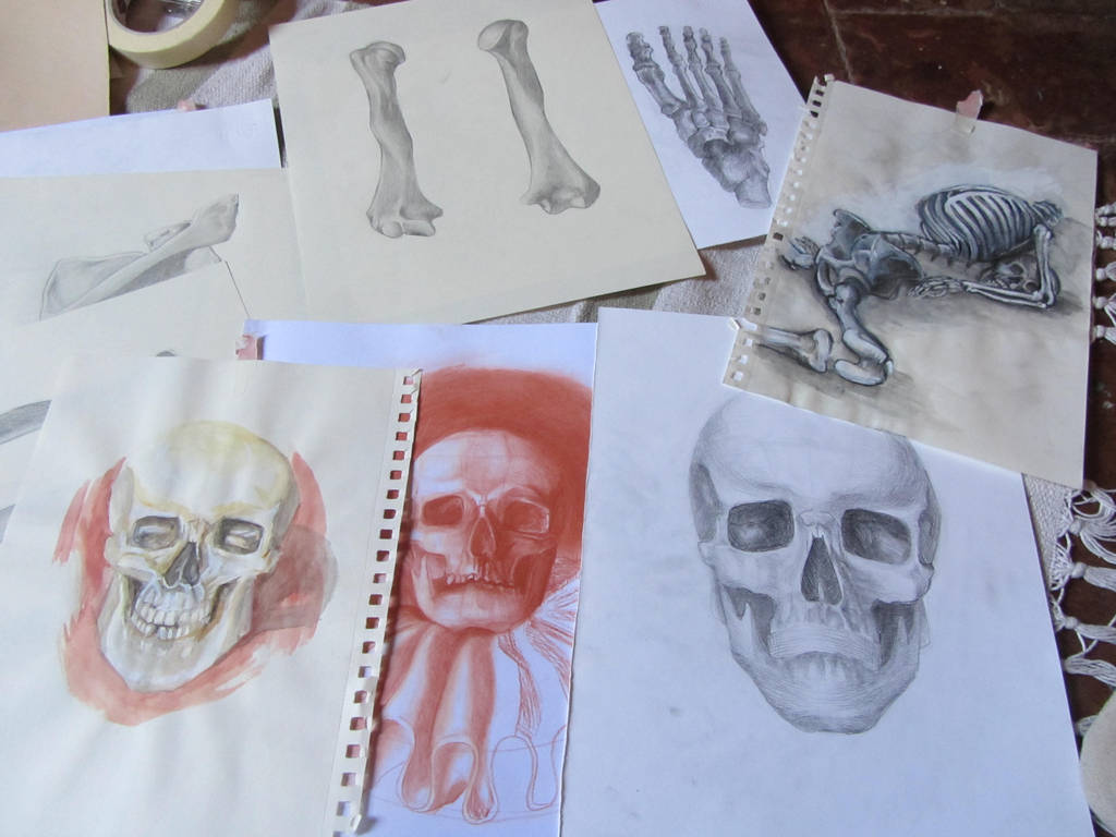 Anatomy dump 1 by angel-poloo