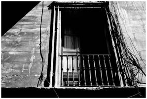 confusing vegetation by hannelorem