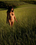 SUNSET GRASS by RareEarthGallery