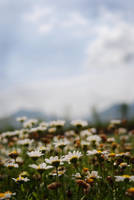 Reach For The Sky by Sangjun