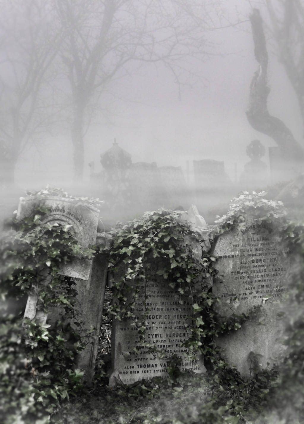 Premade Background 004 by FP-Stock
