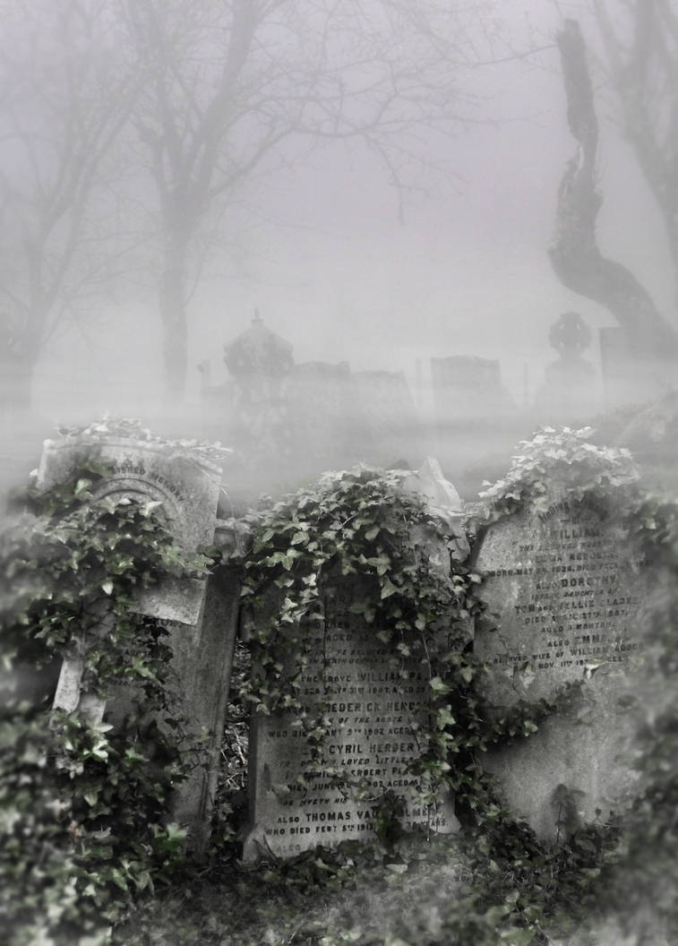 Premade Background 004 by FP-Stock
