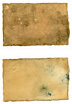 Tea Stain 21 by shadowgirls-stock