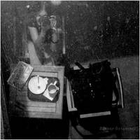 BIRD'S EYE by estellamestella