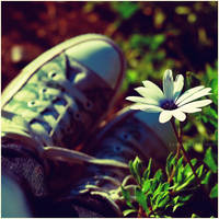 sun bathing by estellamestella