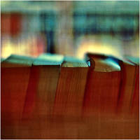 blaCK. by estellamestella