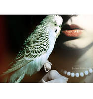 i m y by estellamestella