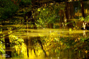 Autumnal Equinox by alahay