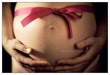 The Perfect Gift by mnoo