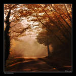 This Morning by Marcello-Paoli