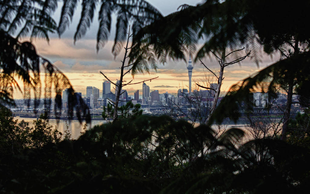 A Glance into the Future by EOSthusiast