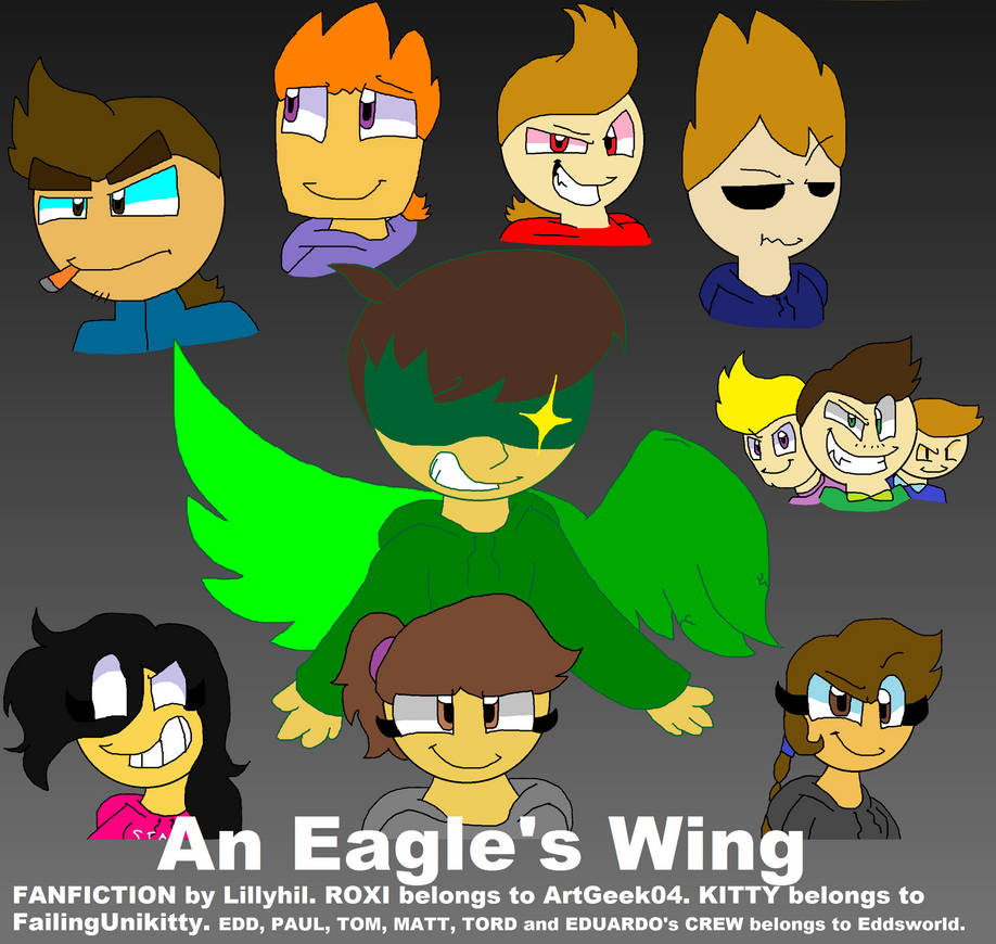 an eagle s wing