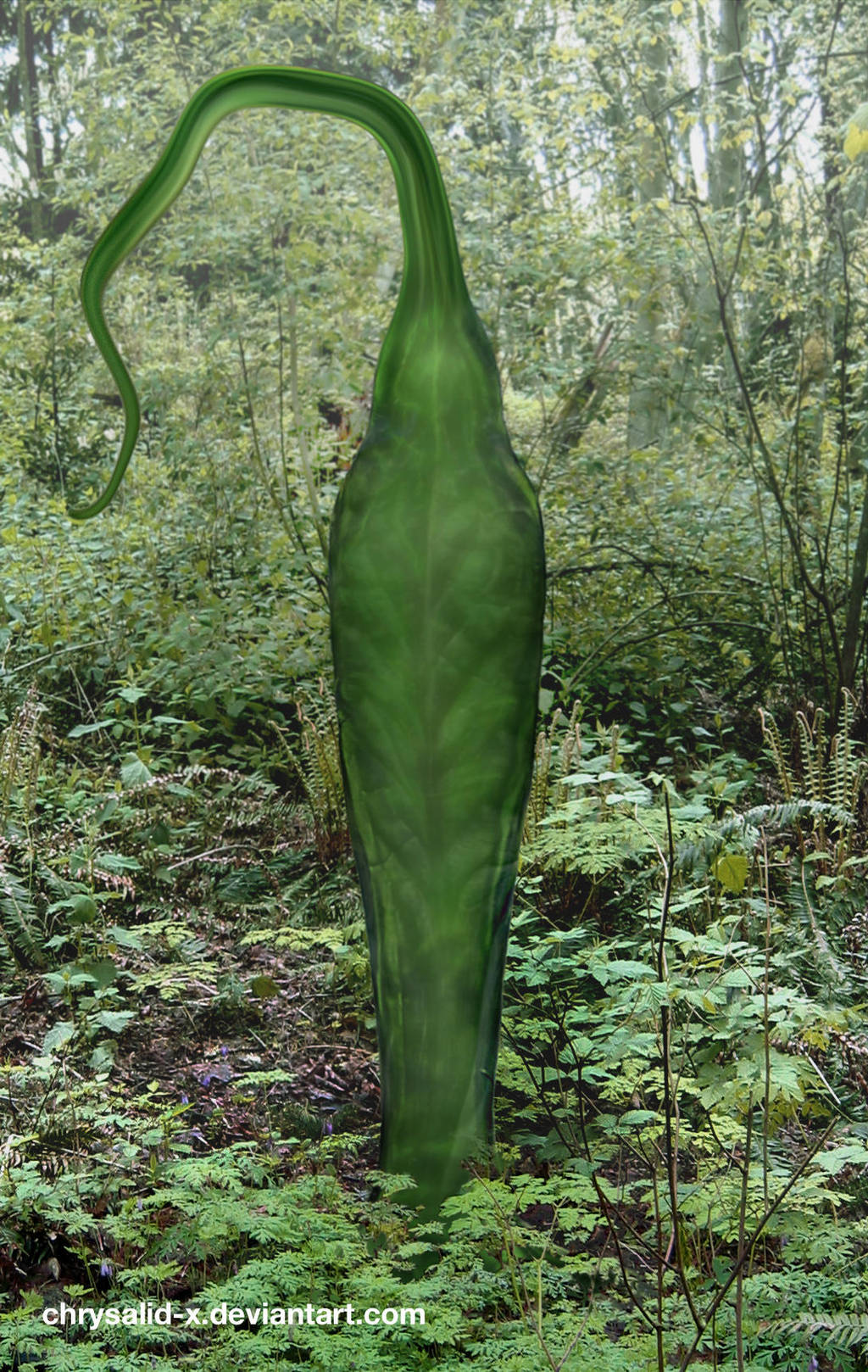 Plant vore. Змеиный кокон. Коконы из растений. Кокона растение. Кокон дьявола растение