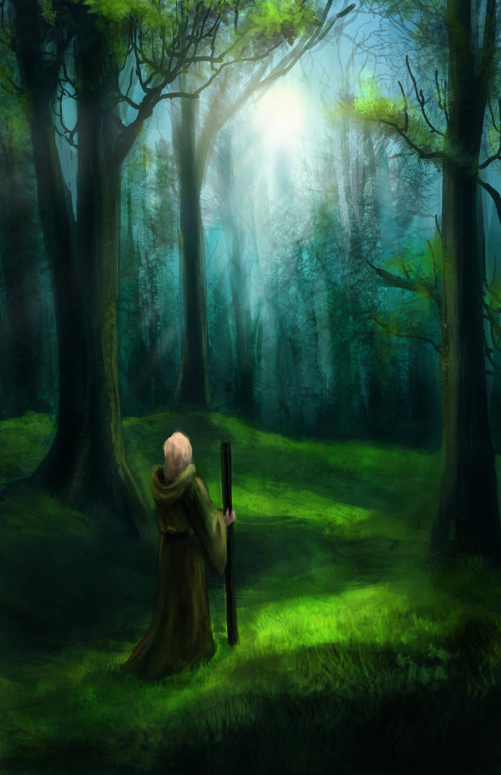 forest by Kceon forest by Kceon