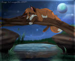 Lonely night by MilGoncalez