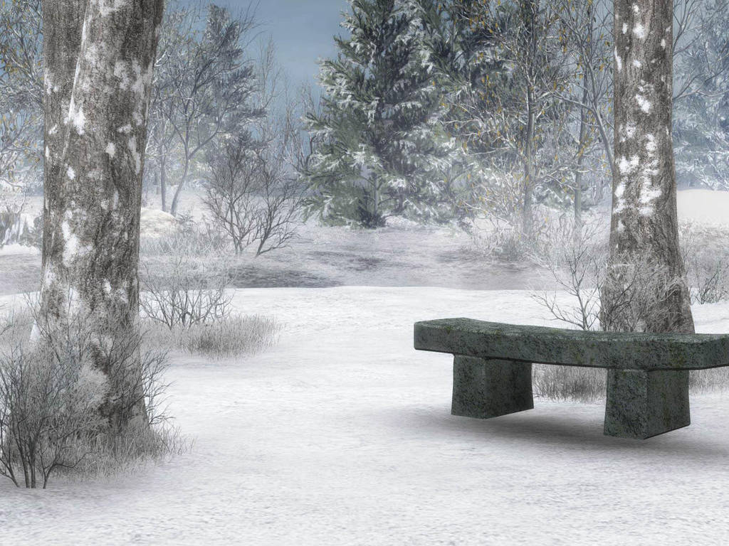 Winter Background 2 by BlackStock