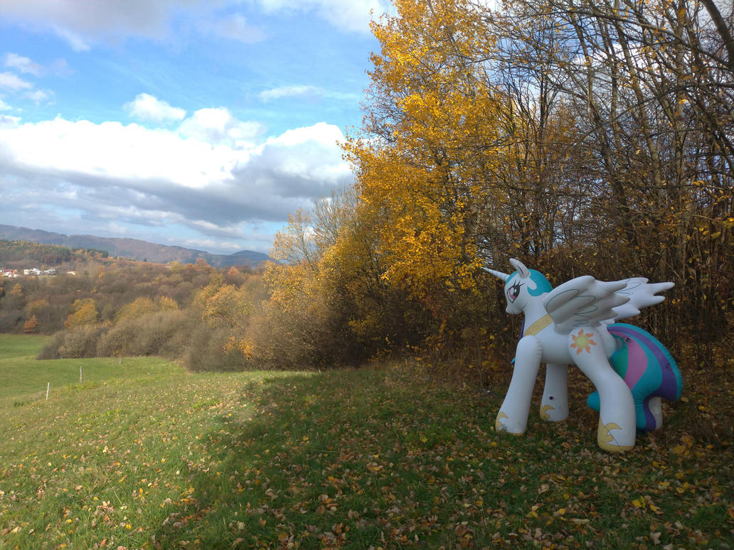 [Obrázek: princess_celestia_enjoying_autumn_by_arn...8d-pre.jpg]