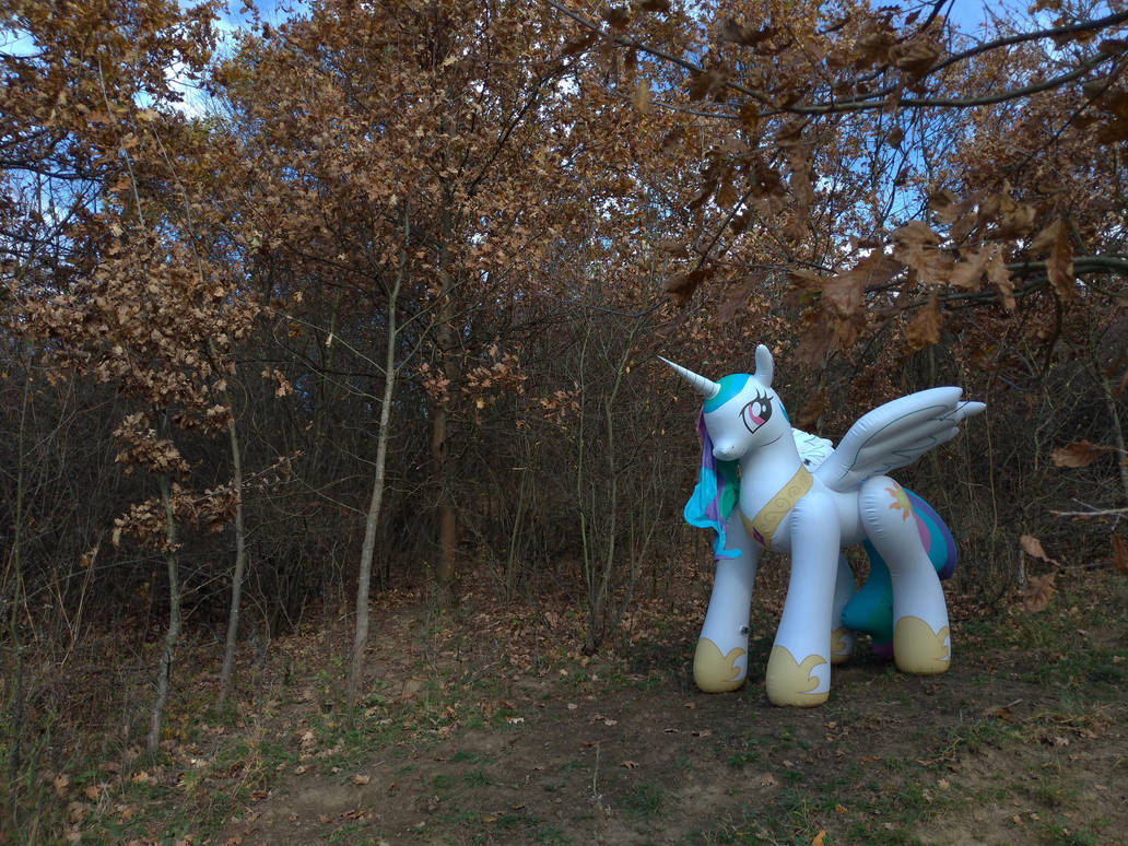 [Obrázek: celestia_like_autumn_colors_by_arniemkii...9l-pre.jpg]