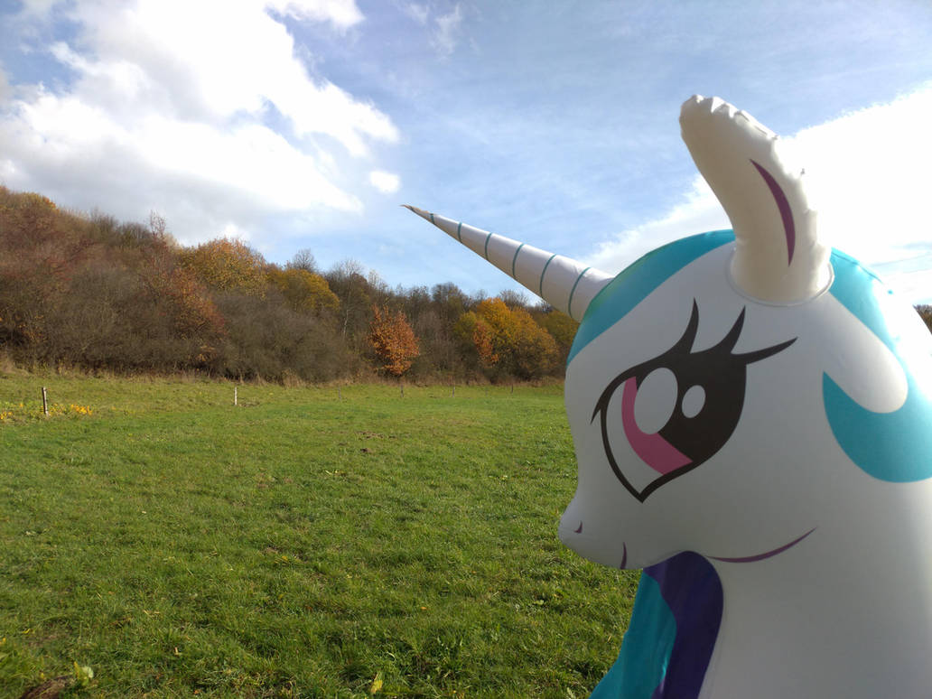 [Obrázek: beautifull_pony_in_beautifull_nature_by_...a3-pre.jpg]