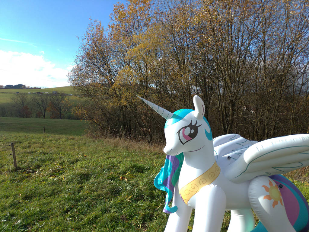 [Obrázek: celestia_loves_autumn_sun_by_arniemkii_d...llview.jpg]