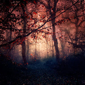 Empty Paths by EbruSidar Empty Paths by EbruSidar